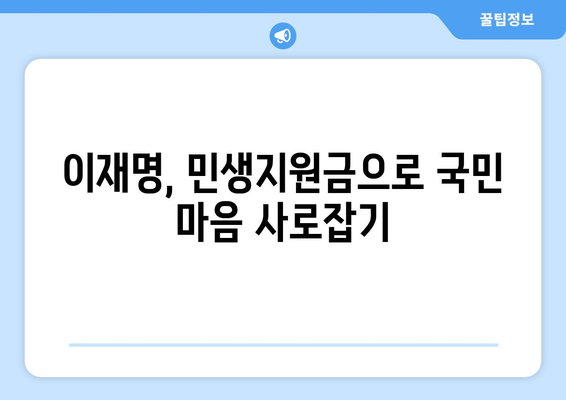 이재명, 차기 대선을 노린 민생지원금 공약