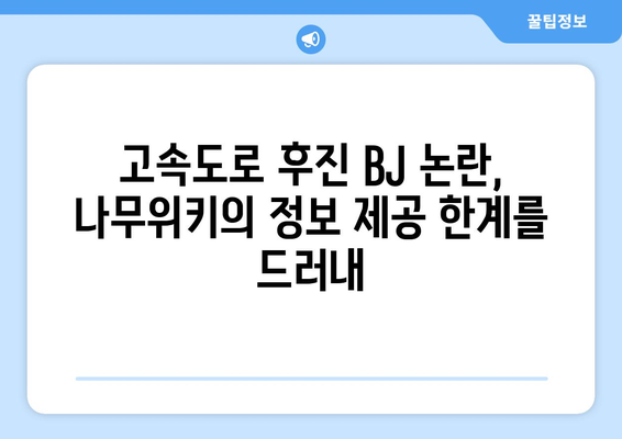 "고속도로 후진 BJ" 논란 관련 나무위키 특이점