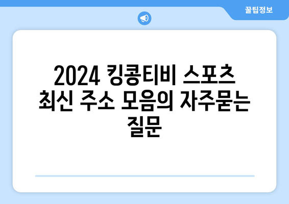 2024 킹콩티비 스포츠 최신 주소 모음