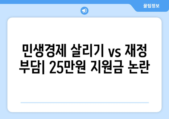 국민 1인당 25만 원 지원금, 민주당 특별법 추진