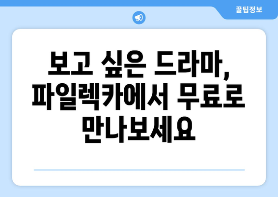 드라마 전 에피소드 무료로 다시 볼 수 있는 파일렉카