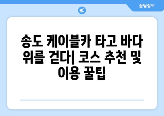 부산 송도 케이블카 및 감천마을 정보 정리