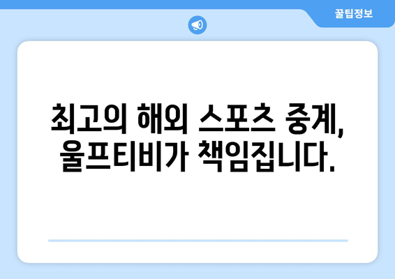 해외 스포츠 중계 제왕: 울프티비