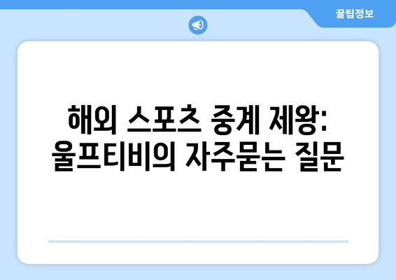 해외 스포츠 중계 제왕: 울프티비