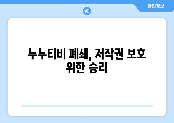 누누티비, 결국 서비스 종료