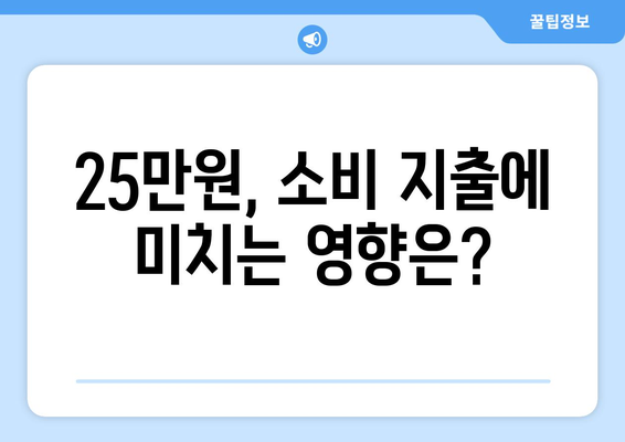 25만원 지원금의 경제적 영향