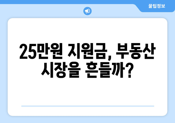 25만원 지원금, 화폐가치나 주택 가치에 영향을 미칠까?