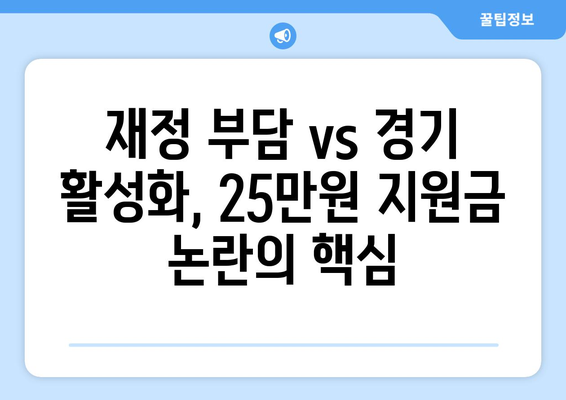 이재명의 25만원 지원금 논란