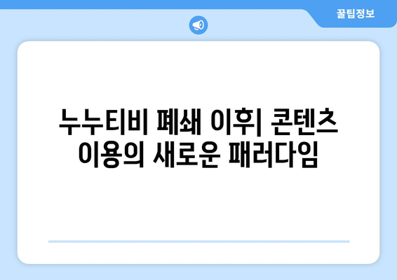 누누티비가 없어진 이유