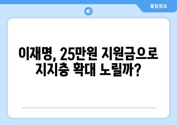 이재명 25만원 민생 회복 지원금, 차기 대선 후보 지지율