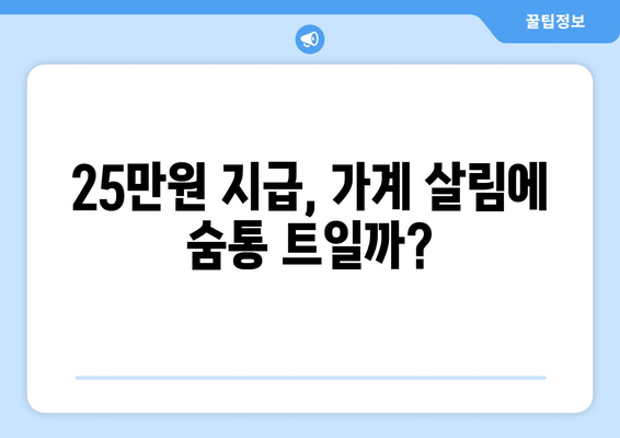 25만원 특별지급금: 가계 소득 증가에 기여