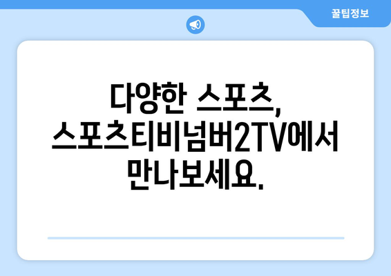 스포츠티비넘버2TV 소개