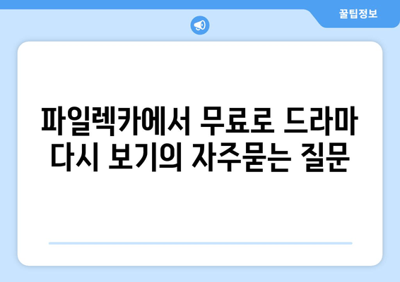 파일렉카에서 무료로 드라마 다시 보기