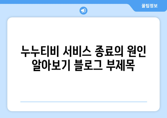 누누티비 서비스 종료의 원인 알아보기