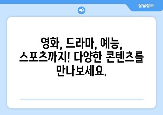 누누티비 대안이 될 만한 사이트 추천