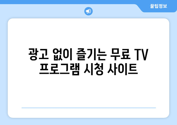 무료 TV 프로그램 시청을 위한 최고 사이트 10선