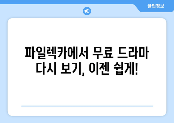 파일렉카에서 무료로 드라마 다시 보기