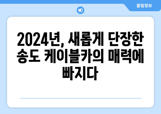 2024 부산 송도 케이블카, 감천 마을 정보