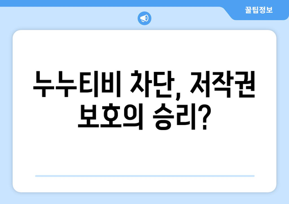 누누티비 차단 이후, 정부의 대응