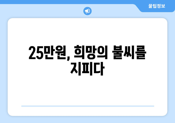 이재명의 25만원 민생 회복 지원금: 차리리보다 나은 선택