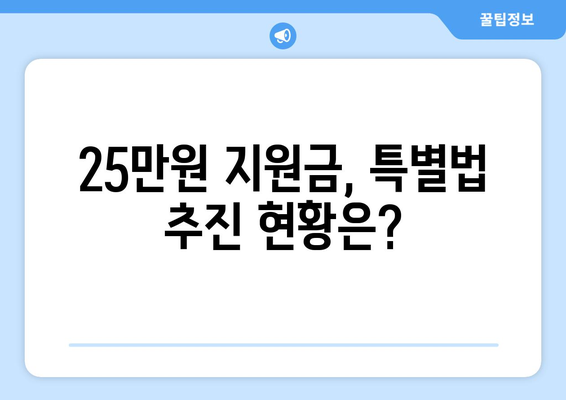 특별법으로 추진되는 25만원 지원금