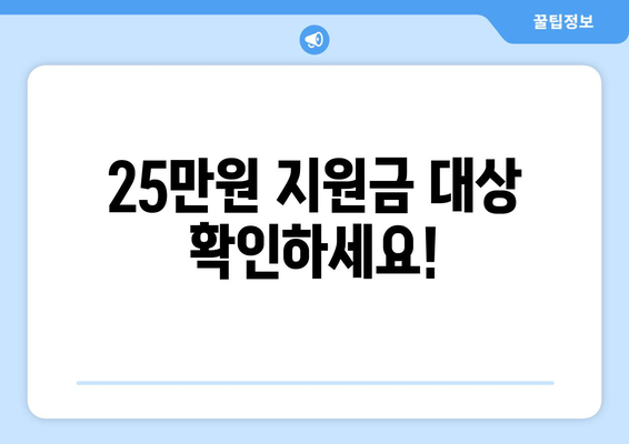 25만원 민생 지원금 신청 시 알아둘 사항