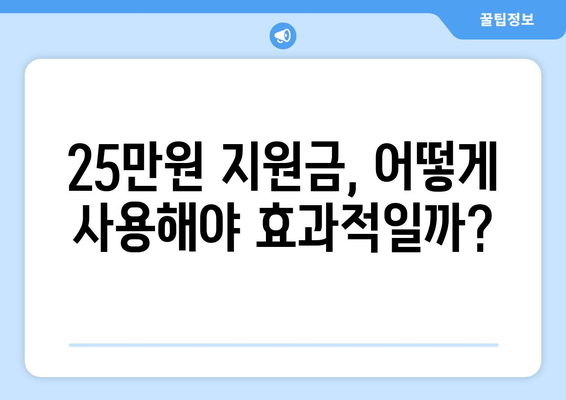 민생 지원금 25만원 지급 후 추가 지원 필요한 경우