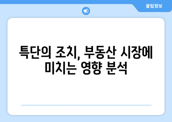 특단의 조치와 부동산 가격 상승: 2024년 시장 분석