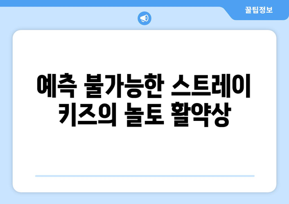 놀토! 스트레이 키즈의 폭로전과 속임수 팀워크