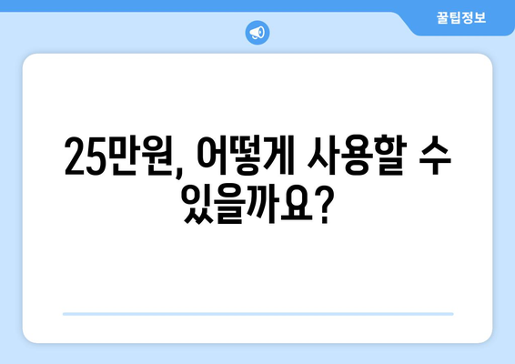 전국민에게 지급되는 25만원 민생지원금: 자세한 내용