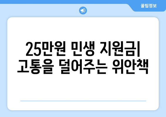 25만원 민생 지원금: 고통을 덜어주는 위안책