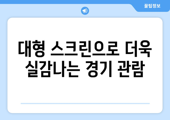 합정역 대형 TV에서 스포츠 중계 제공하는 제이케이펍