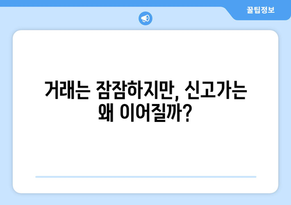 서울 부동산 시장 불균형: 거래량과 신고가의 괴리 원인