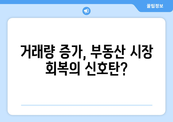 서울 아파트 거래량 5년 대비 40% 증가: 시장 회복 신호인가?