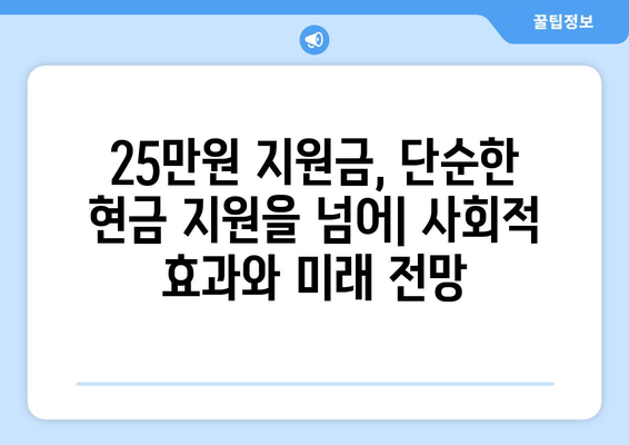 25만 원 지원금 특별법: 실행 가능성과 논쟁