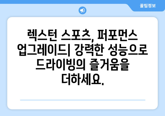 렉스턴 스포츠 카 커스터마이징