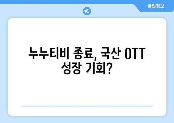 누누티비 종료 후 국산 OTT 이용자 급증