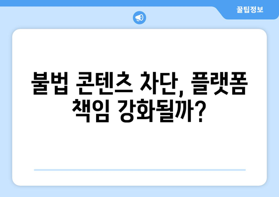 제2의 누누티비 막기 위한 콘텐츠전송업체 의무 부과