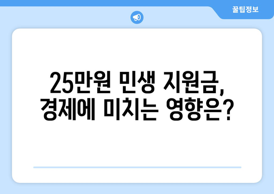 25만원 민생 지원금 지급으로 인한 경제 효과 예상