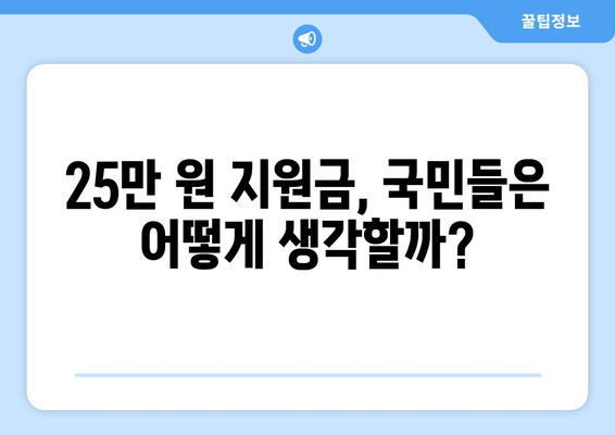 전국민 25만 원 민생 지원금에 대한 여론 조사