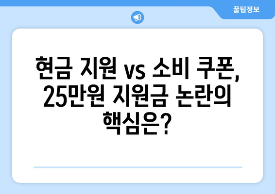 이재명의 25만원 민생 지원금법