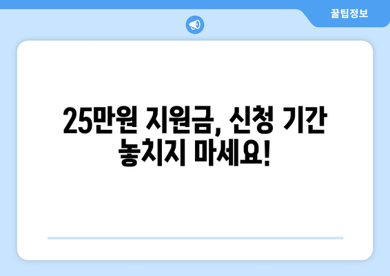 민생회복 지원금 25만원 신청 기간 확인