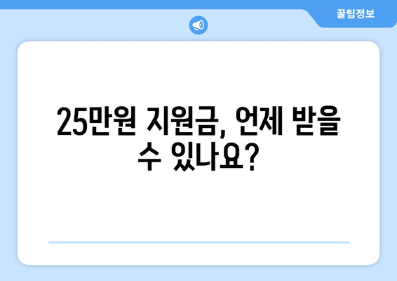 특별법으로 추진되는 25만원 지원금