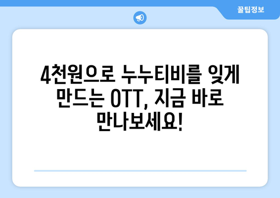 누누티비 대신 한 달에 4,000원으로 OTT를 시청할 수 있는 곳