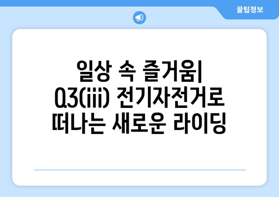 노블티비: 퀄리 Q3(iii) 스포츠프로필 전기자전거 리뷰