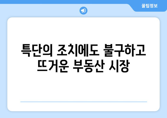 특단의 조치 이후 부동산 시장 반응: 신고가 속출의 의미