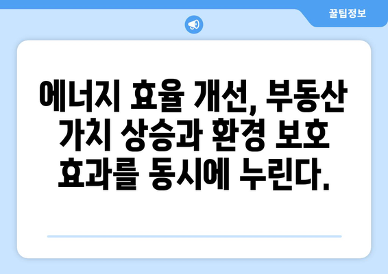 주택 에너지 효율 등급제: 부동산 가치 평가에 미치는 영향