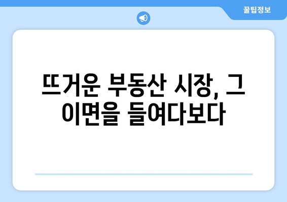 정부 부동산 정책과 시장의 괴리: 집값 상승의 근본 원인 탐구