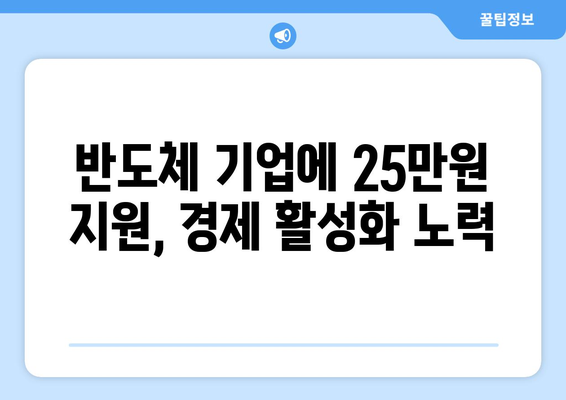 반도체, 지원금, 25만원 지급: 최상목 총리의 금융 지원책