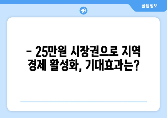 25만원 시장권 지원금으로 경제 활성화 추진